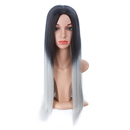 Ombre Long Straight Hair Wig Synthetic Wigs for woman Middle Part Straight Wigs Heat Resistant Fiber-Long Straight Wig T-Gray- Ombre Long Straight Hair Wig Synthetic Wigs for woman Middle Part Straight Wigs Heat Resistant Fiber-Long Straight Wig T-Gray-
