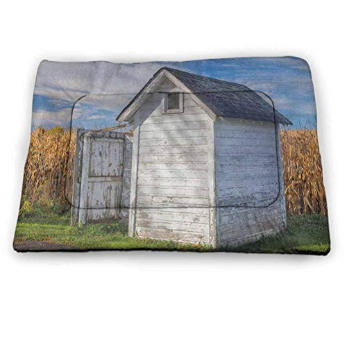 DayDayFun Outhouse Pet Mats for Dogs Country Farm Life Cottage with Wheat and Grass Under Sky Image Personalized Pet Placemat Marigold Green Blue and White 23"x15.5"