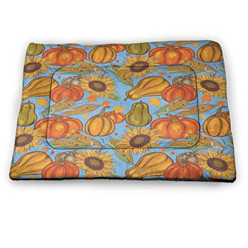 DayDayFun Harvest Pet Mats for Dogs Agriculture Theme Vegetable Pattern Corns Pumpkins and Sunflowers Personalized Pet Placemat Orange Yellow Pale Blue 23"x15.5"