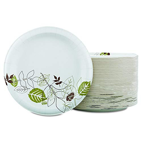 Dixie Pathways Table Ware- 10.13" Diameter- White