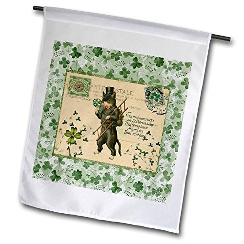 3dRose Image of Cat in Top Hat with Ladder- Shamrock- Postcard Style- Green - Flags -fl-336164-2-
