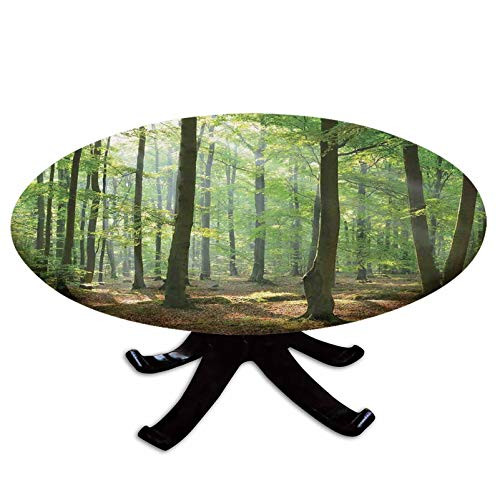 Elastic Edged Polyester Fitted Table Cover-Morning in the Forest Freshness Natural Environment Magical Outdoor Picture Print-Fits up to 36" Diameter Tables-The Ultimate Protection for Your Table-Green