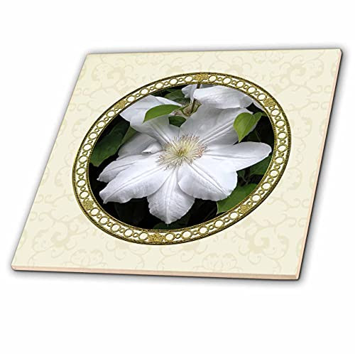 3dRose Image of Clematis Flower Photo in Round Gold Frame - Tiles -ct-348153-3-
