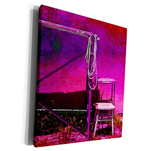 3dRose Susans Zoo Crew Florida - stool ladder rope magenta - Museum Grade Canvas Wrap -cw-186662-1- 3dRose Susans Zoo Crew Florida - stool ladder rope magenta - Museum Grade Canvas Wrap -cw-186662-1-