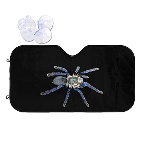 Blue Tarantula Car Windshield Sunshade Keeps Out Uv Rays Visor Shield Shade