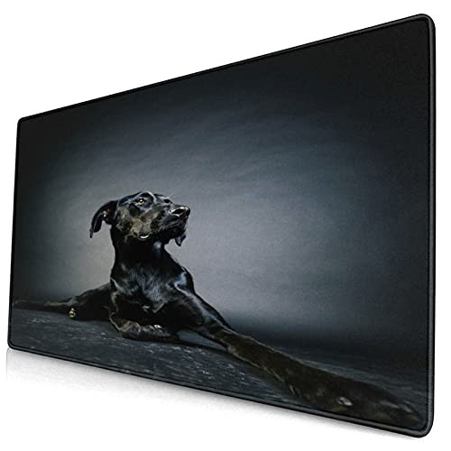 SUDISSKM Multifunctional Non-Slip Office Desk Pad?Gaming Mouse pad- Black Great Dane-Writing Mat for Office/Home40x75cm