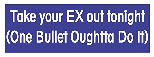 Take Your Ex Out Tonight -One Bullet Oughtta Do It- Vinyl Sticker Decal