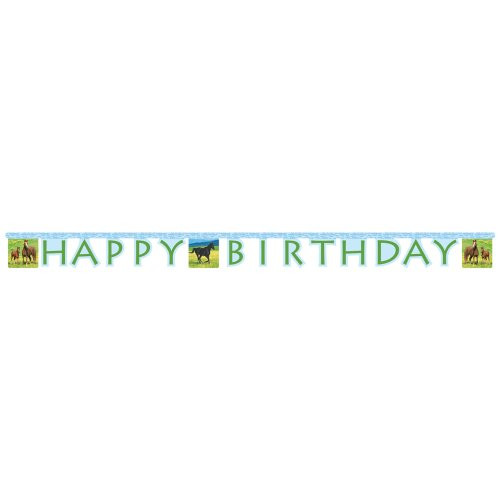 Creative Converting Wild Horses Happy Birthday Jointed Party Banner