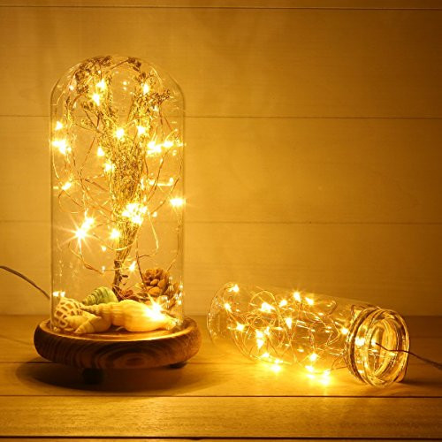 ANJAYLIA LED Fairy String Lights- 26Ft 80leds Firefly String Lights Battery Operated Garden Home Party Wedding Festival Decorations Crafting Lights- Warm White