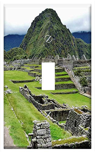 Switch Plate Single Toggle - Terrace Relic Stairs Hillside Stone Monuments
