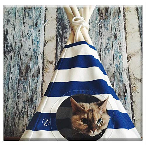 Double Blank Wall Plate Cover - Cat Wigwam Tree Boards Pet Kitten Animal Pets