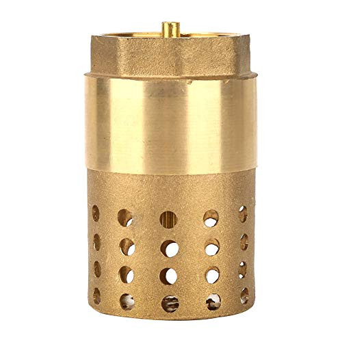 Check Valve - Brass One Way Female Thread Foot Valve Mesh Check Valve with Holes Strainer Filter DN25