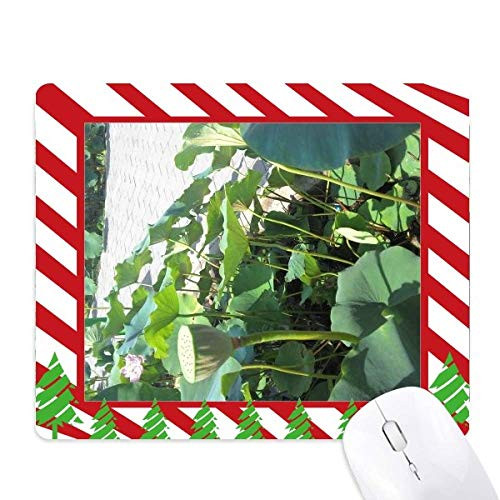 Lotus Lake Pool Mouse Pad Candy Cane Rubber Pad Christmas Mat