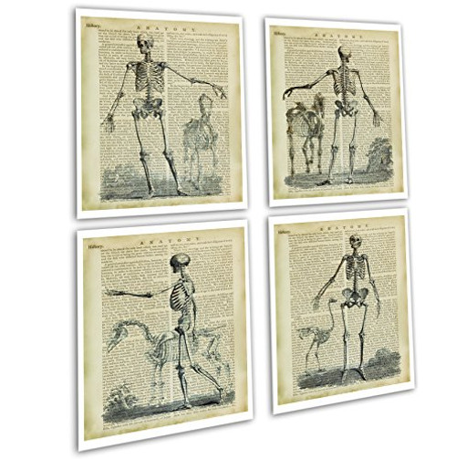 Gnosis Picture Archive Halloween Decor set of 4 Unframed Vintage Anatomy Skeleton Wall Art Decor Skeleton_Bookart4A