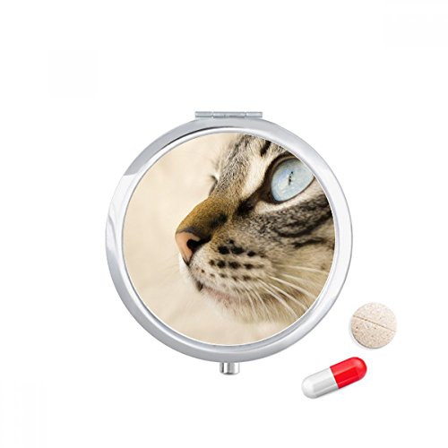 Animal Blue Eye Kitten Gray Photo Pill Case Pocket Medicine Storage Box Container Dispenser