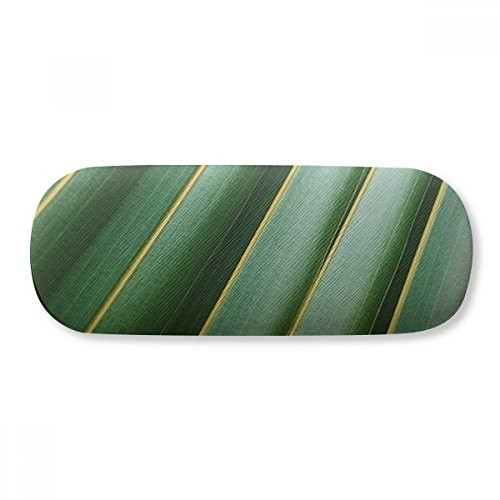 Green Leaf Plant Nature Photograph Glasses Case Eyeglasses Hard Shell Storage Spectacle Box