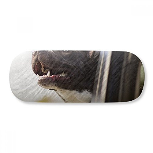 Black Dog Animal Photograph Picture Glasses Case Eyeglasses Hard Shell Storage Spectacle Box