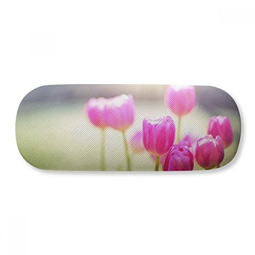 Beautiful Sunshine Flowers Red Green Glasses Case Eyeglasses Hard Shell Storage Spectacle Box