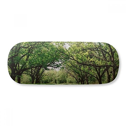 Green Forestry Nature Science Scenery Glasses Case Eyeglasses Hard Shell Storage Spectacle Box