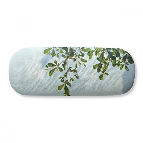 Green Leaves Blue Sky Glasses Case Eyeglasses Hard Shell Storage Spectacle Box