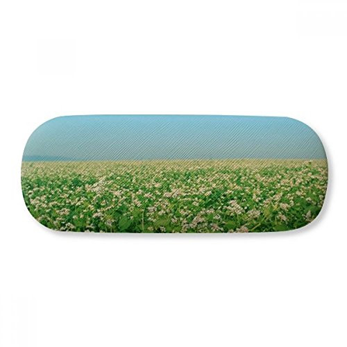 Sky Green Forestry Science Nature Scenery Glasses Case Eyeglasses Hard Shell Storage Spectacle Box