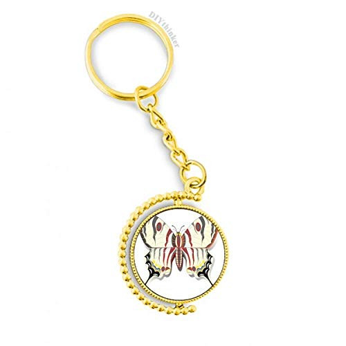 Butterfly with Exaggerated Patterns Metal Connector Key Chain Ring Accessory Golden Keyholder