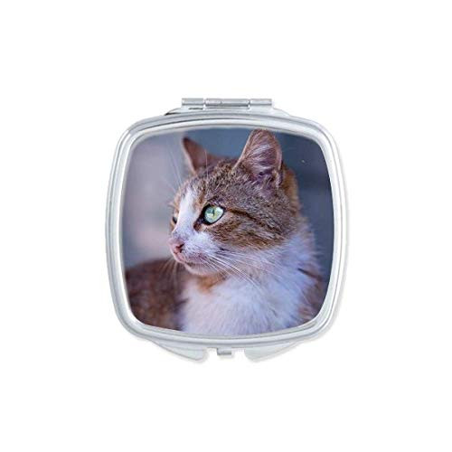 Brown Cat Animal Profile Stare Mirror Portable Compact Pocket Makeup Double Sided Glass