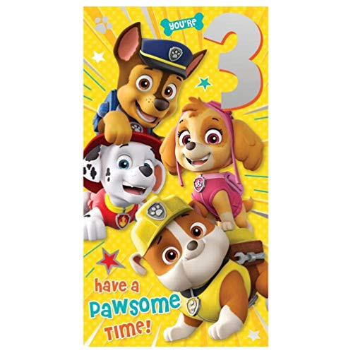 Paw Patrol "have a pawsome time" birthday card