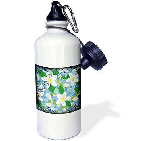 3dRose Susan Brown Designs General Themes - Birds with Grunge Flowers and Leaves - 21 oz Sports Water Bottle -wb-182915-1-