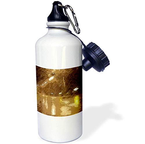3dRose Lens Art by Florene - Digital Paintings - Image of Brown Beige and Yellow Textured Digital Painting - 21 oz Sports Water Bottle -wb-303017-1-