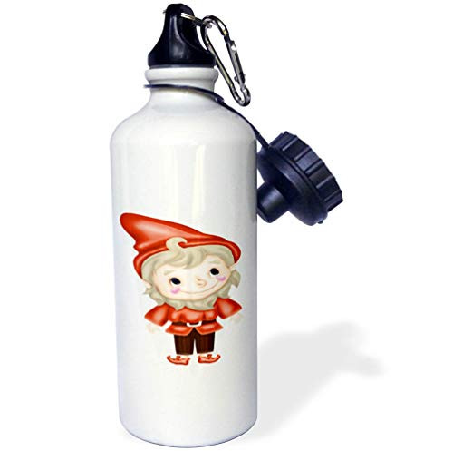 3dRose Anne Marie Baugh - Cute Illustrations - Cute Orange and Brown Smiling Gnome Illustration - 21 oz Sports Water Bottle -wb-324527-1-