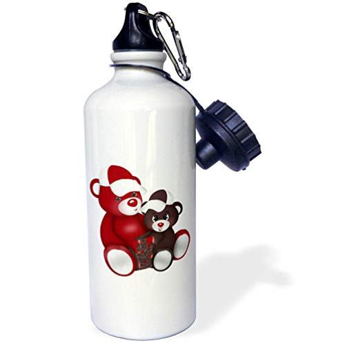 3dRose Anne Marie Baugh - Cute Illustrations - Cute Red and Brown Bear Dad with Bear Son Holding Gift Graphic - 21 oz Sports Water Bottle -wb-324554-1-