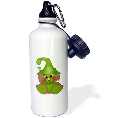 3dRose Anne Marie Baugh - Cute Illustrations - Cute Green and Brown Halloween Owl Illustration - 21 oz Sports Water Bottle -wb-324558-1-