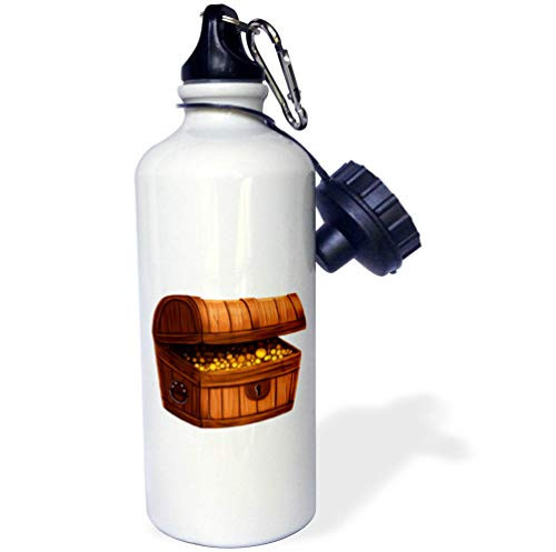 3dRose Anne Marie Baugh - Cute Illustrations - Brown and Yellow Treasure Chest of Coins Illustration - 21 oz Sports Water Bottle -wb-324565-1-