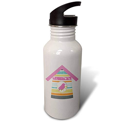 3dRose Cute Pink, Aqua, Orange, Birdhouse with Bird Illustration - Water Bottles -wb-328668-2-