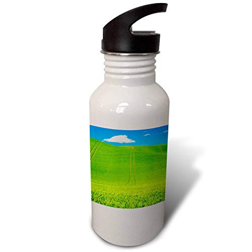 3dRose Wheel Patterns in Spring Pea Fields - Water Bottles -wb-333009-2-