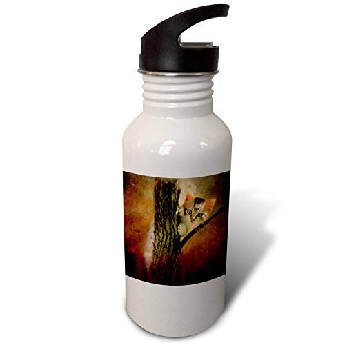 3dRose A Little Cute Kitten climps on a Tree. The Background is Brown - Water Bottles -wb-339753-1-