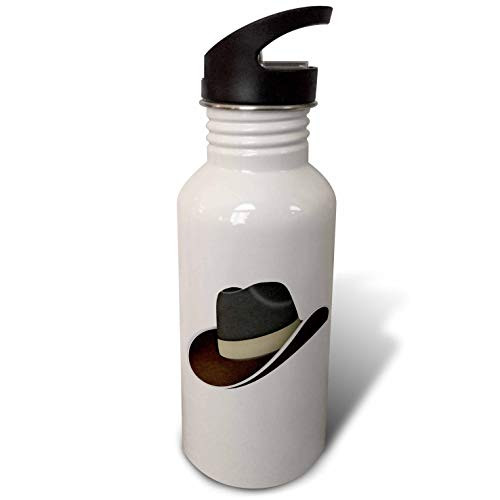 3dRose Black and Brown Cowboy Hat Illustration - Water Bottles -wb-340009-1-