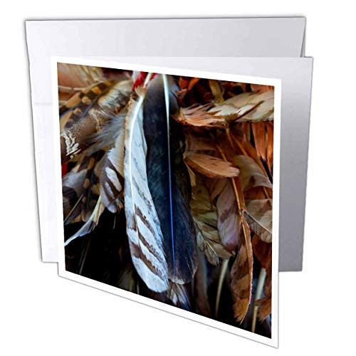3dRose Image of Bird Feathers. A Decoration of Native American. - Greeting Cards -gc-325875-2-