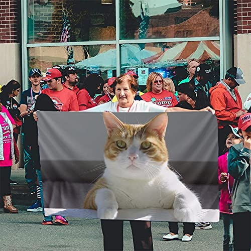 Orange Cat Funny Flag Banner Breeze Flag Outdoor Flags Home Flag Garden Flag 3 X 5 Ft