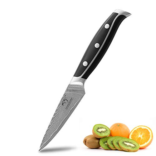 Paring Knife 3.5 Inch, WanRui Series Professional Kitchen Knife Forged with VG-10 Super Steel 67-Layer Damascus, Non-slip ABS Ergonomic Triple Rivet Handle, Razor Sharp Lightweight Multipurpose