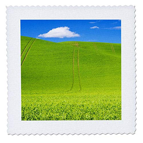 3dRose Wheel Patterns in Spring pea fields - Quilt Squares -qs-333009-6- 3dRose Wheel Patterns in Spring pea fields - Quilt Squares -qs-333009-6-