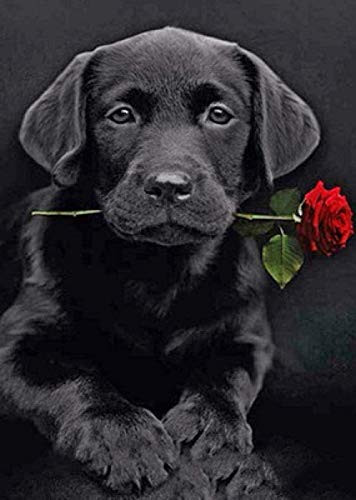 DIY 5D Diamond Painting by Number Kit Diamond Painting Diamond Cross Stitch Rhinestone Embroidery Puppy Figure Decoration Gift 40x50Cm