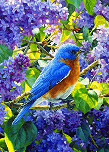 DIY 5D Diamond Painting Toolkit Diamond Painting Diamond Cross Stitch Rhinestone Embroidery Bird Figure Decoration Gift 40x50Cm