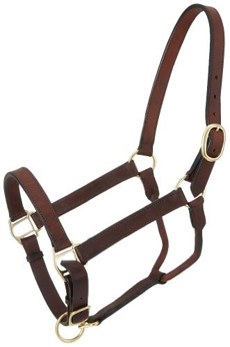 Tough 1 Royal King Leather Stable Halter, Brown
