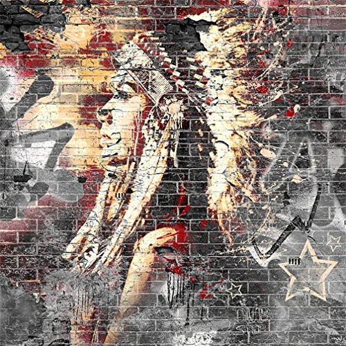 AOFOTO 6x6ft Graffiti Artistic Backdrops Photography Background Blurry Painted Squaw Figures American Indian Feather Headdress Brick Wall Girl Portrait Scene Photo Shoot Studio Props Video