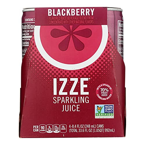 IZZE - Fortified Sparkling Juice, Blackberry, 8.4 oz Can, 24/Carton 15023 -DMi CT