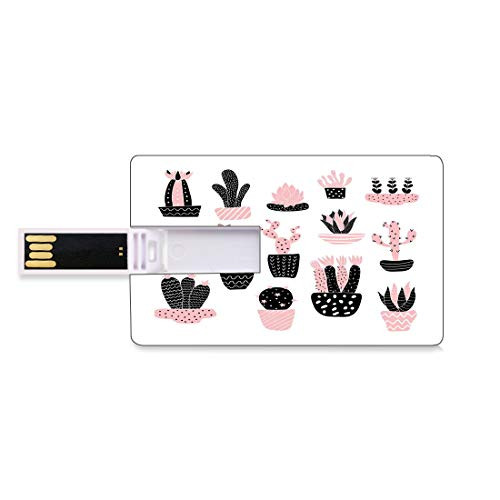 8GB USB Flash Thumb Drives Cactus Bank Credit Card Shape Business Key U Disk Memory Stick Storage Artistic Succulent Garden Illustration with Different Houseplants,Pale Pink Black and White Personali 8GB USB Flash Thumb Drives Cactus Bank Credit Card Shape Business Key U Disk Memory Stick Storage Artistic Succulent Garden Illustration with Different Houseplants,Pale Pink Black and White Personali