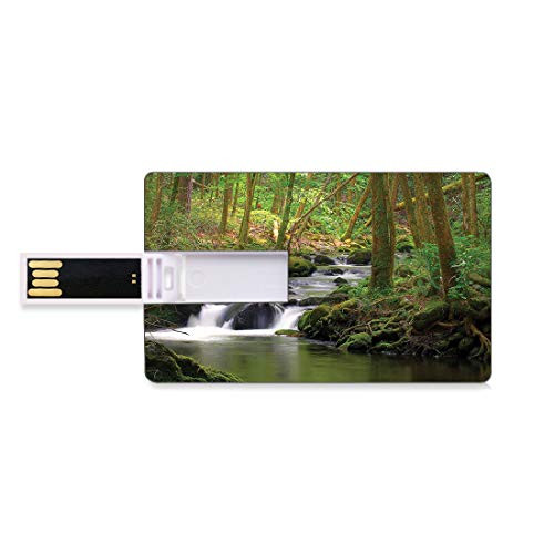 8GB USB Flash Thumb Drives Lake Bank Credit Card Shape Business Key U Disk Memory Stick Storage Stream Flowing in The Forest Over Mossy Rocks Tree Foliage Splash Summertime Hiking Personalized Gift