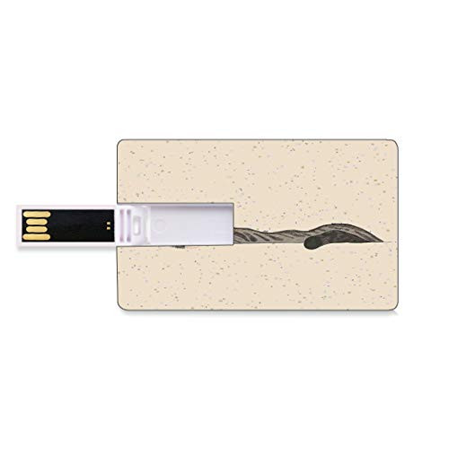 8GB USB Flash Thumb Drives Cat Bank Credit Card Shape Business Key U Disk Memory Stick Storage Lazy Sleepy Cat Figure in Earth Tones Cute Furry Mascot Indoor Pet Art Illustration,Grey Beige Personali 8GB USB Flash Thumb Drives Cat Bank Credit Card Shape Business Key U Disk Memory Stick Storage Lazy Sleepy Cat Figure in Earth Tones Cute Furry Mascot Indoor Pet Art Illustration,Grey Beige Personali